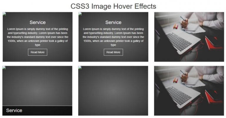 35 Best Bootstrap Image Hover Effects – WebTopic